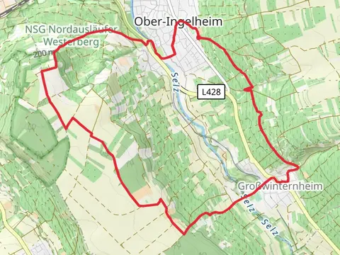 Ingelheimer Auslese