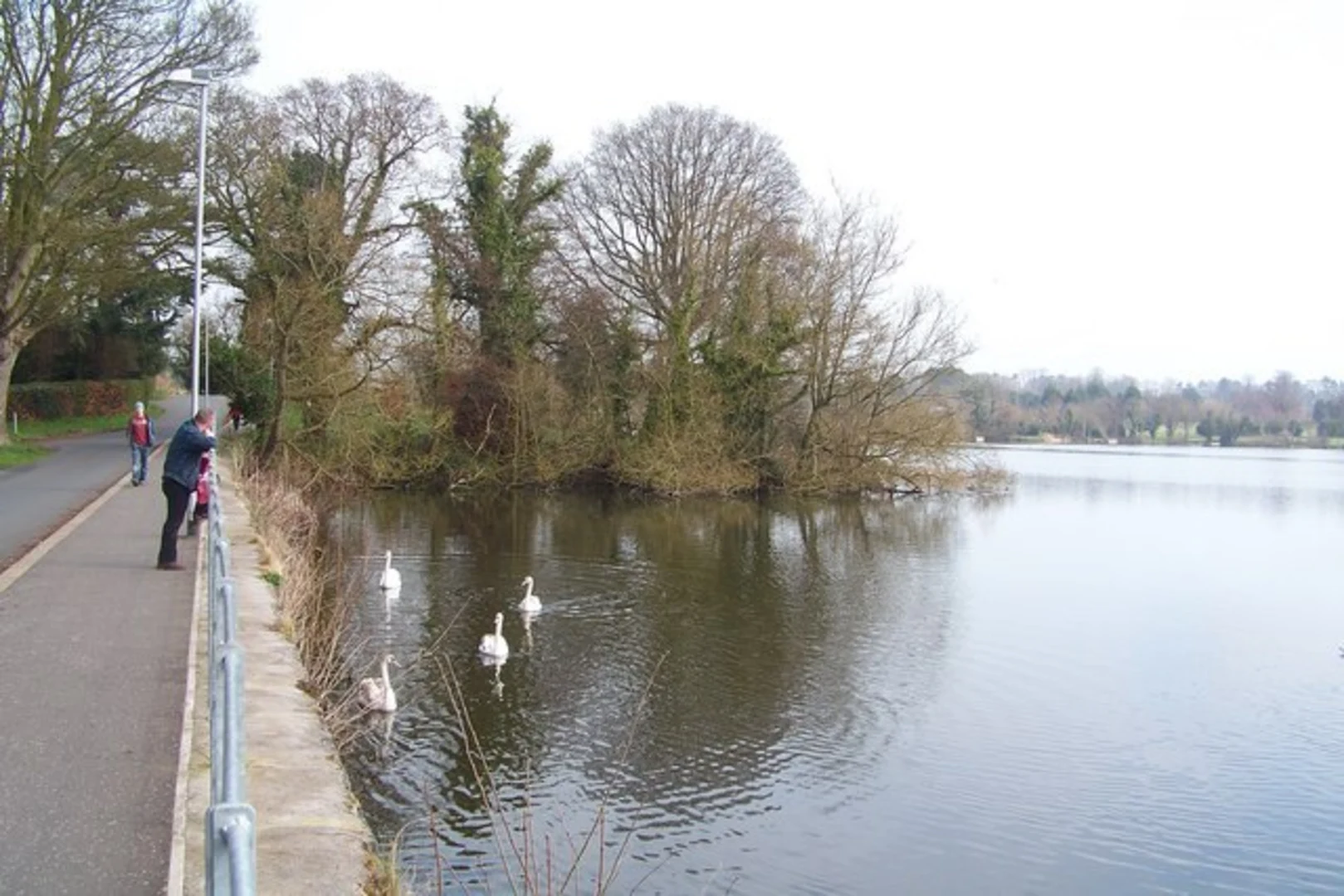 An image depicting the trail Lurgan Park and its surrounding area.