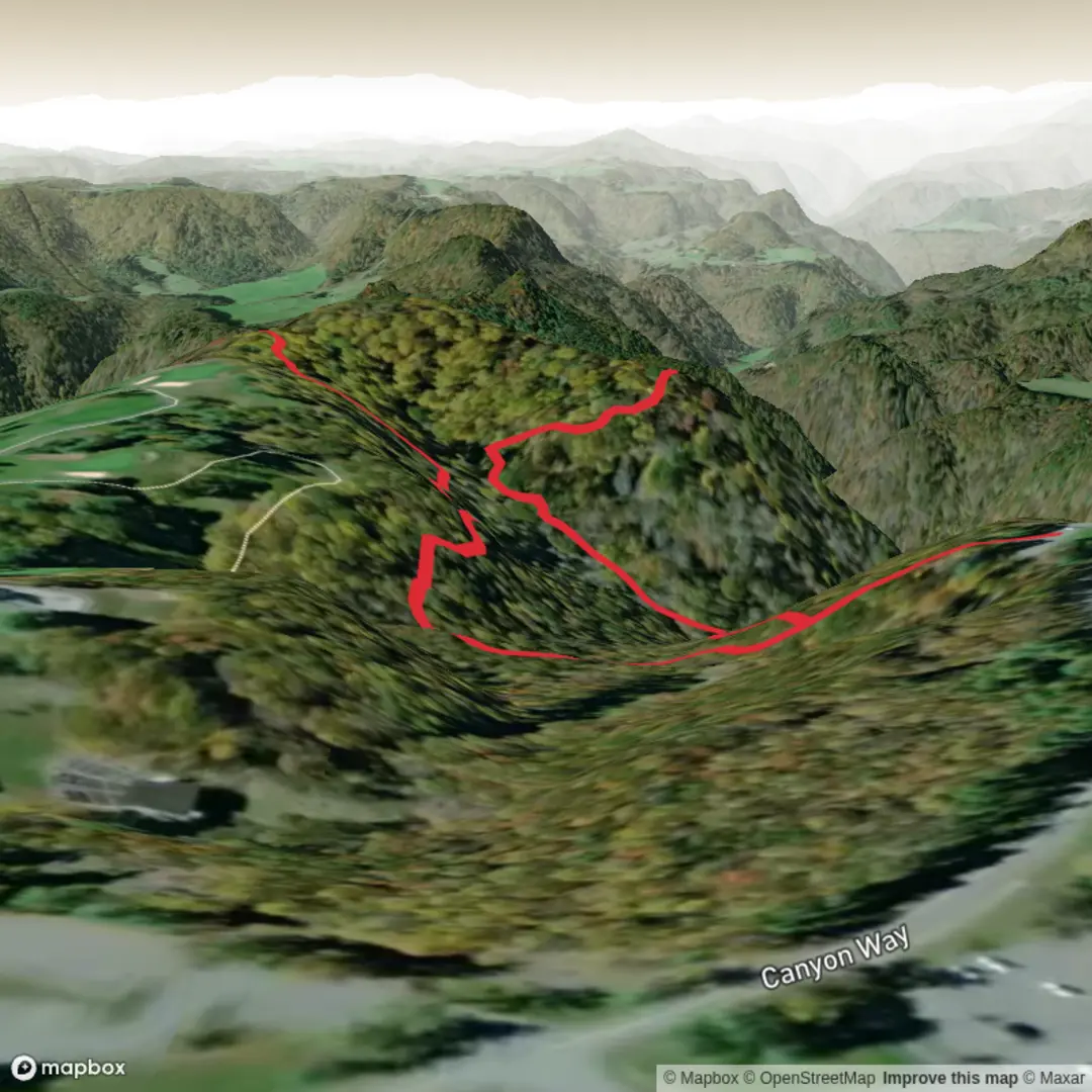 An image depicting the trail Lick Hollow Trail and its surrounding area.