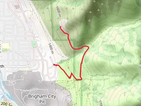Flat Bottom Canyon Walk