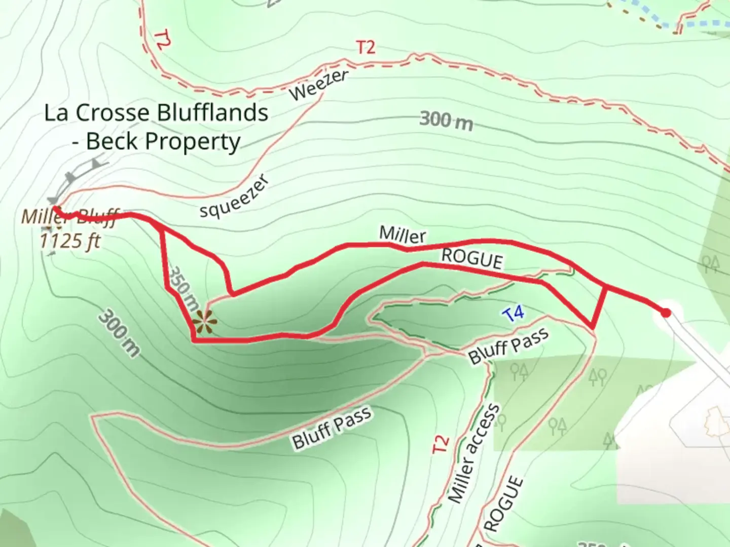 An image depicting the trail Miller Bluff Loop and its surrounding area.