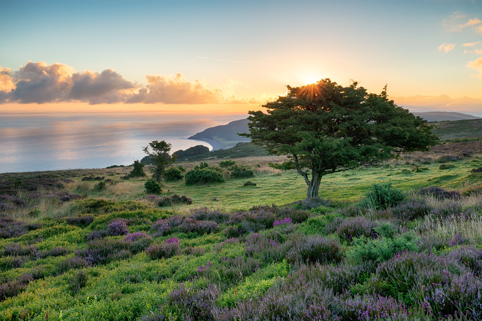 An image depicting the trail Porlock and Vale and its surrounding area.