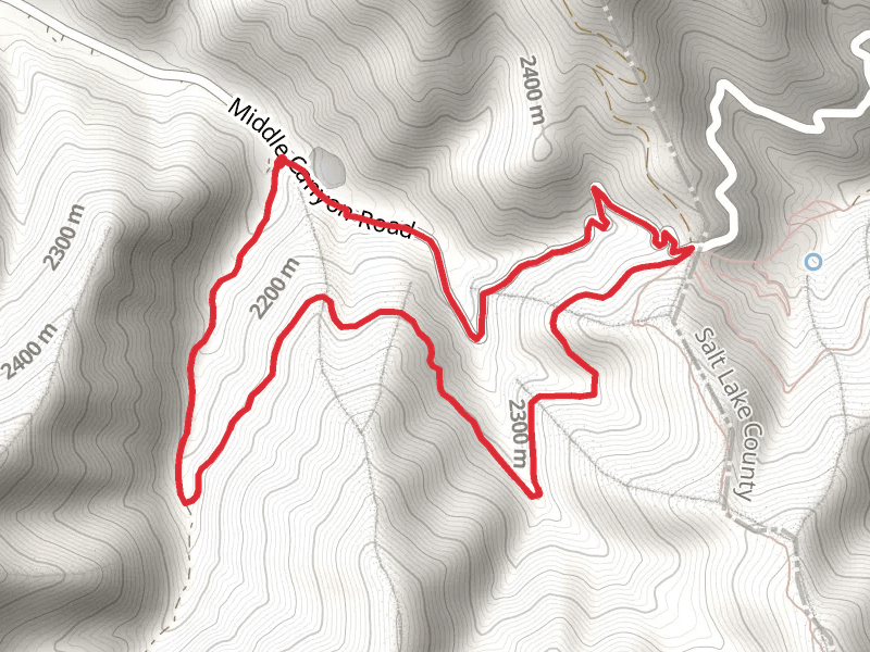 White Pine Canyon Road Loop