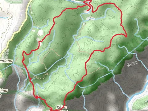 Canyon, Waininiua and Halemanu-Kōkeʻe Loop Trail