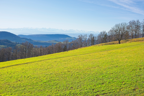 Reigoldswil Wasserfallen to Brunnersberg