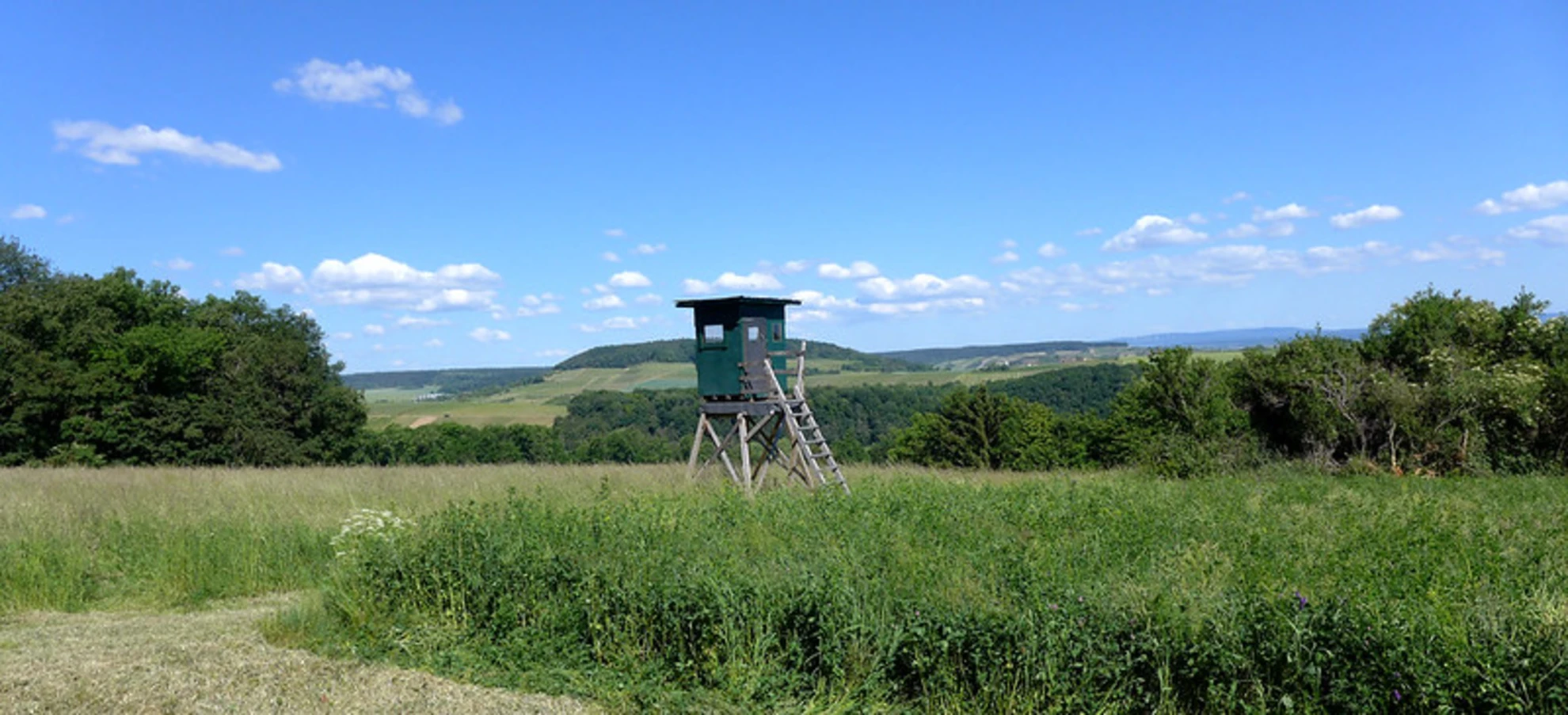An image depicting the trail Hof Iben, Staatsforst and Weiherwald Loop via Hiwweltour Tiefenthaler Hohe and its surrounding area.