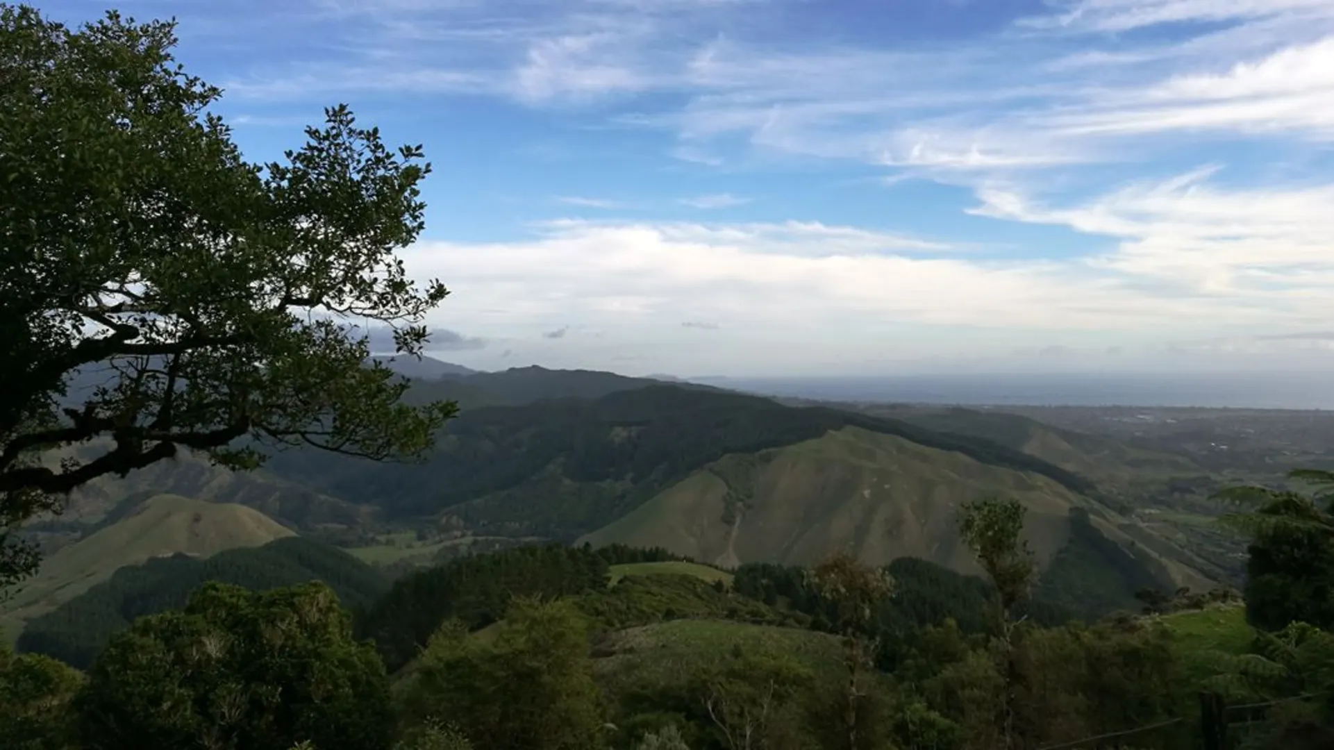 An image depicting the trail Te Au Track and its surrounding area.