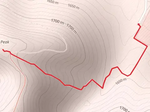 Scott's Peak Out and Back