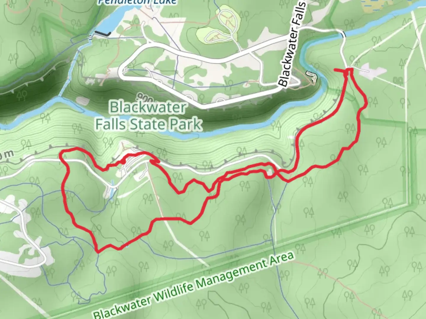 An image depicting the trail Elakala Trail, Red Spruce Trail and Yellow Birch Trail Loop and its surrounding area.
