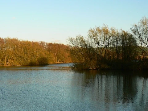 Chiseldon Timberland Trail