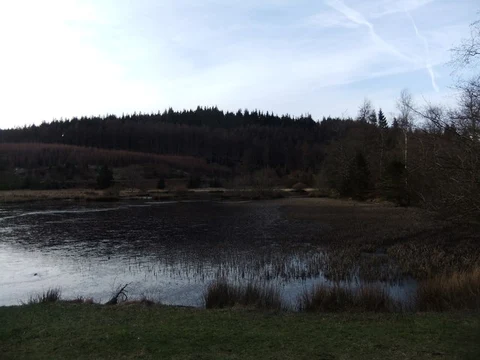 Wood Moss Tarn and Satterthwaite Loop