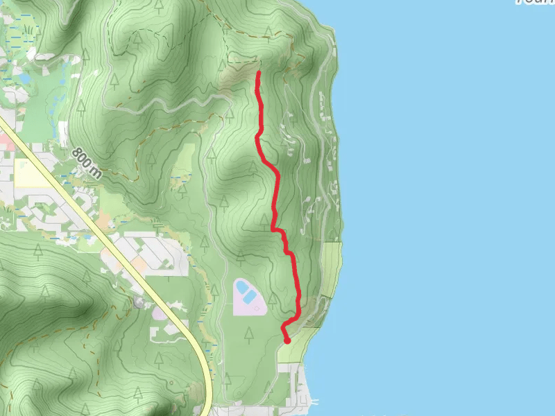 Pack Trail