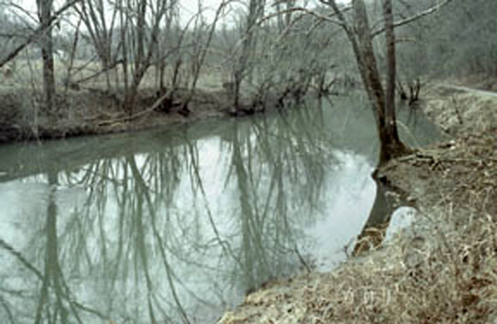 An image depicting the trail Covered Bridge Trail and its surrounding area.