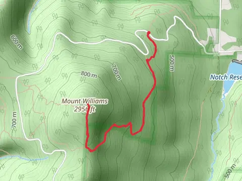 Mount Williams via Thoreau's Footsteps