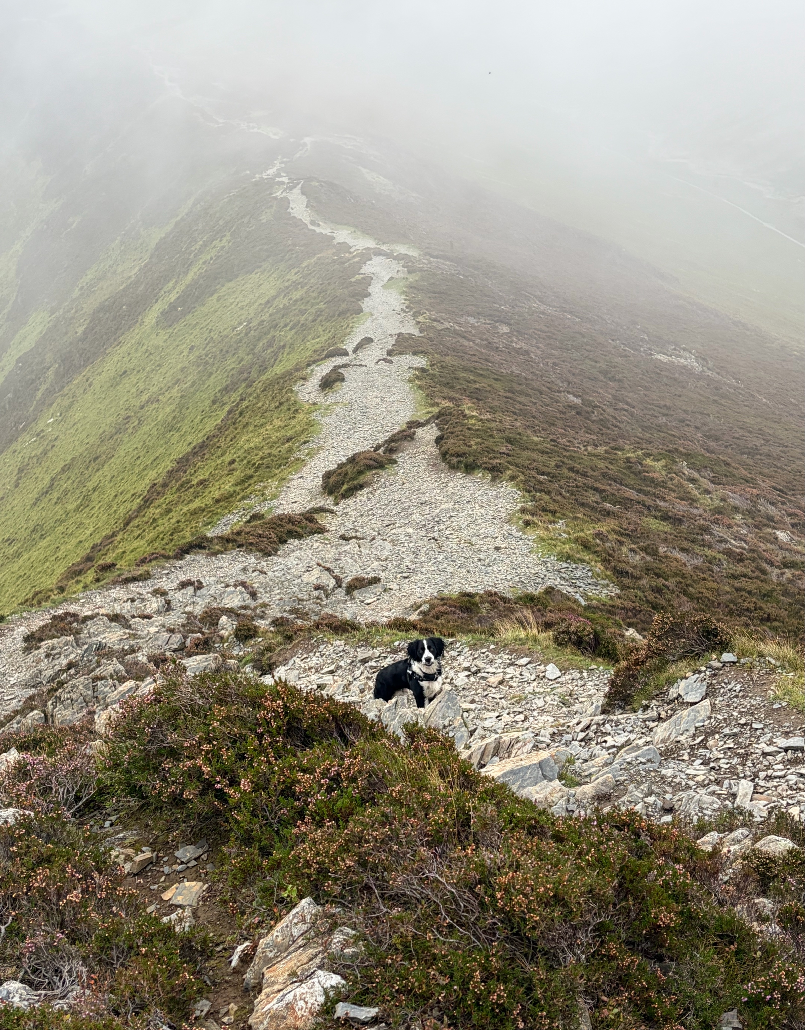 A map preview of the recording Hike from Braithwaite.