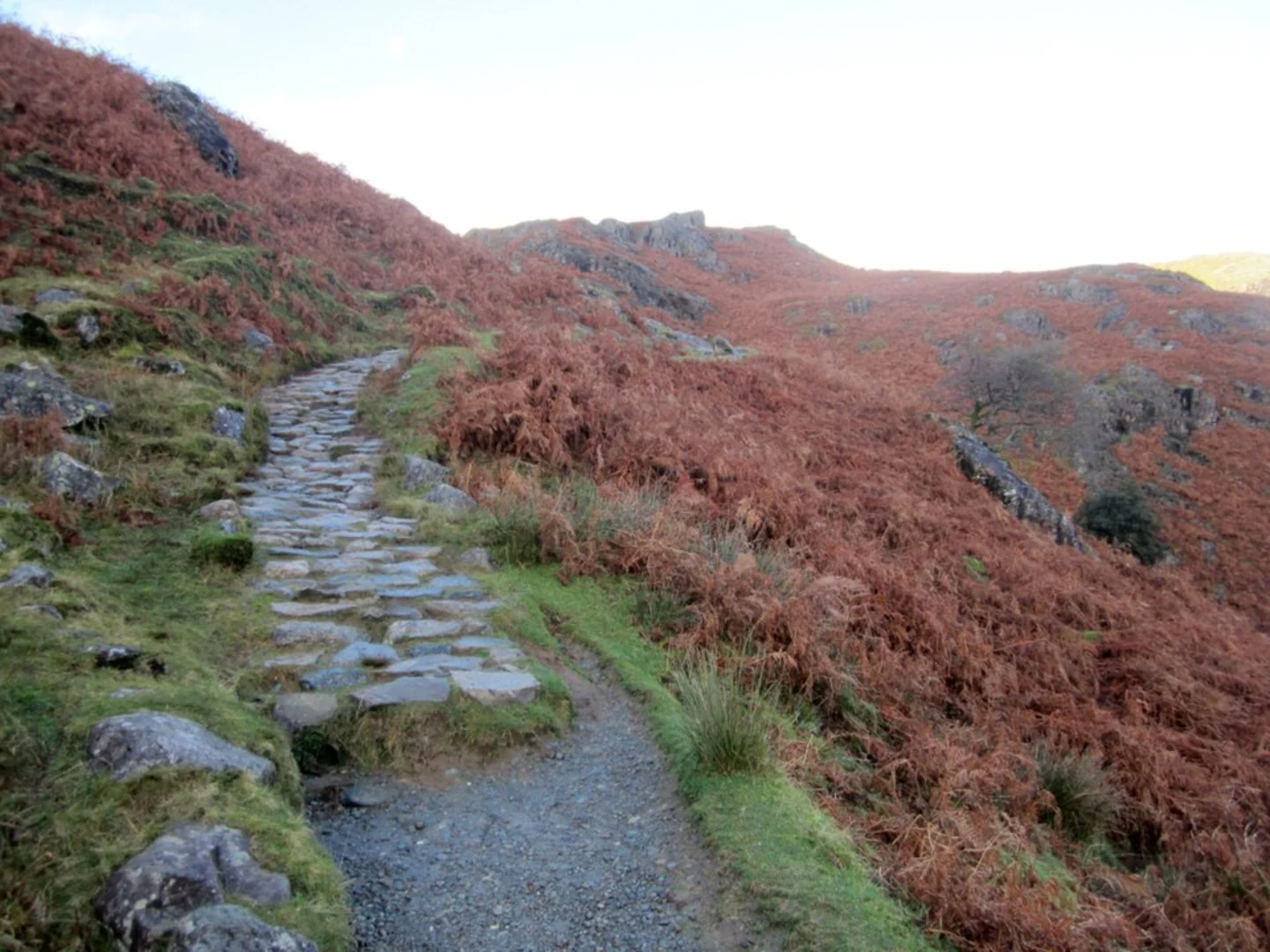 An image depicting the trail Butharlyp Howe, Easedale Tarn and Tarn Crag Loop and its surrounding area.