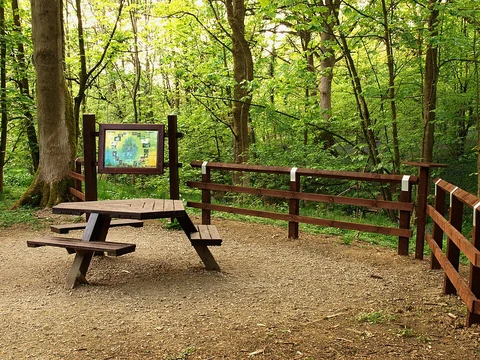 Springs Wood Loop