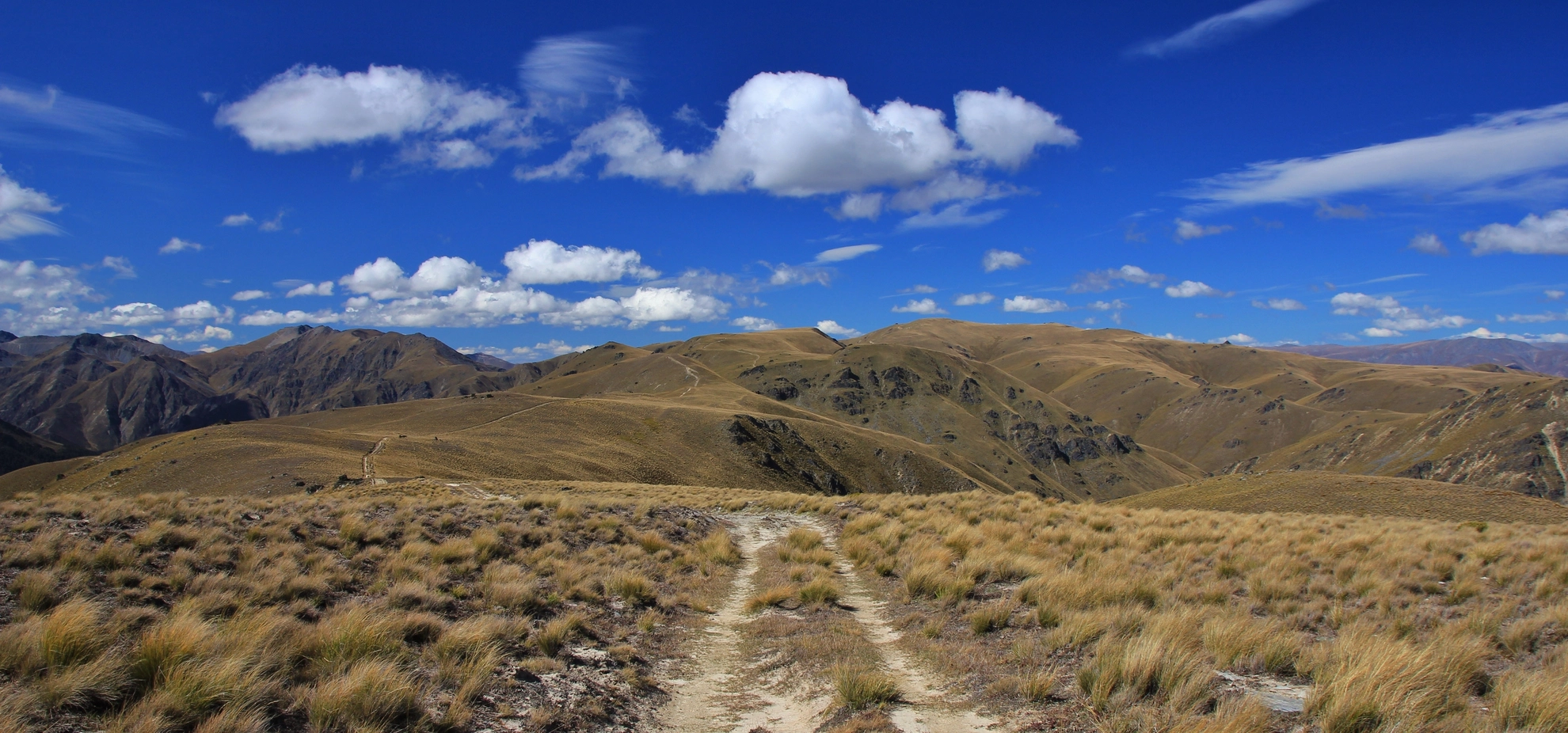 An image depicting the trail Long Gully Carpark to Timaru Creek Road and its surrounding area.