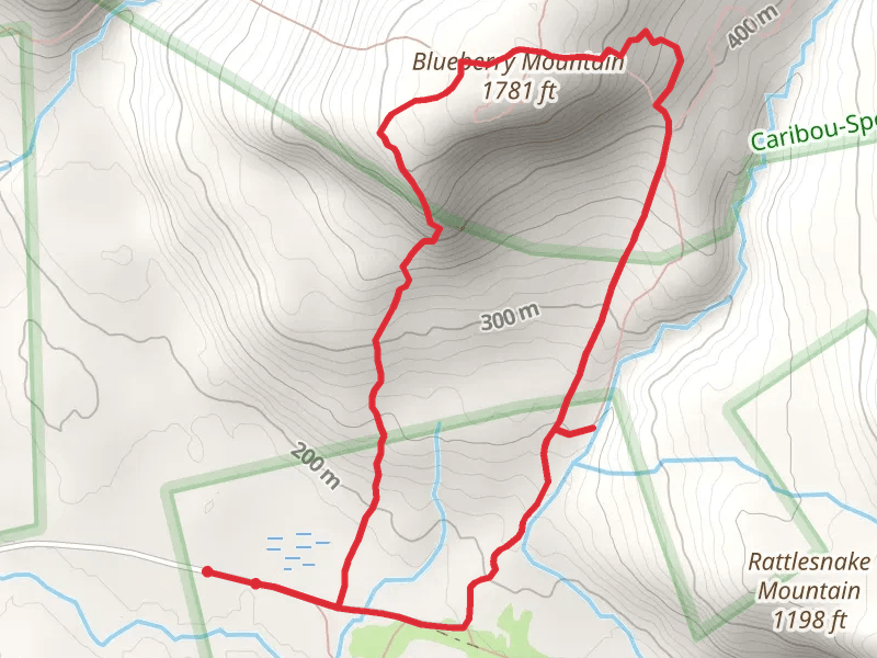 Blueberry Ridge and Rattlesnake Brook Loop mobile static map