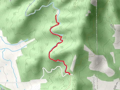 Walk beside Cherry Gulch