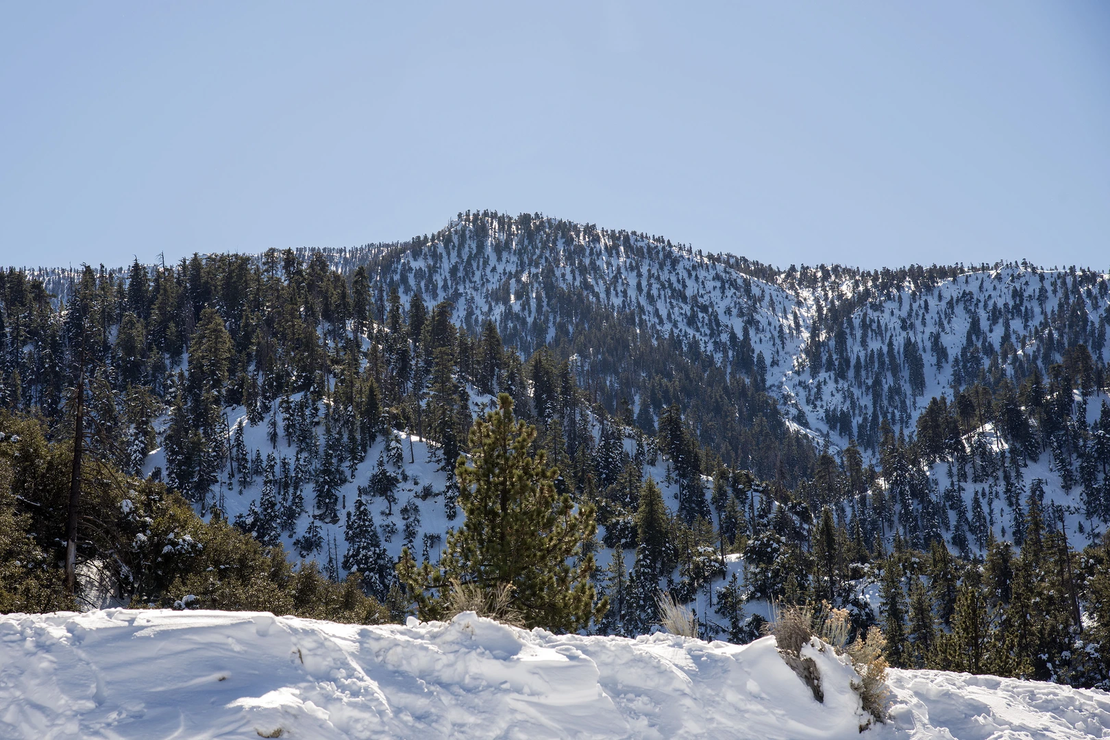 An image depicting the trail Dry Lake and San Gorgonio Mountain and its surrounding area.