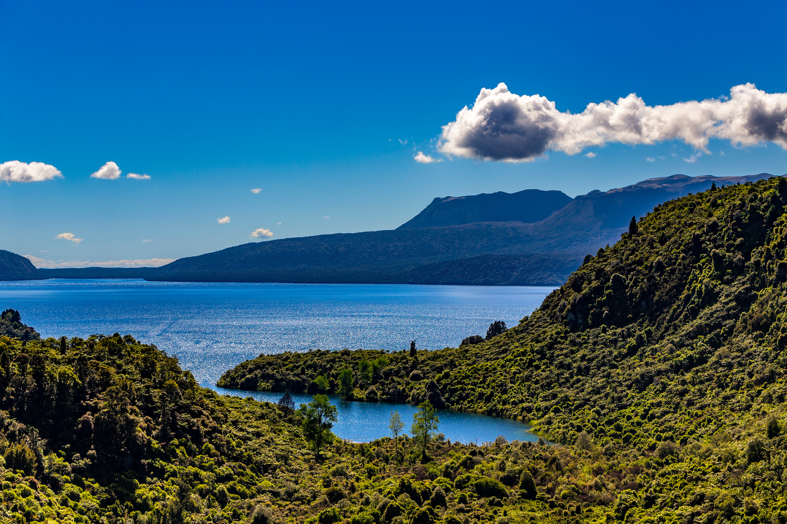 An image depicting the trail Tarawera Trail and its surrounding area.