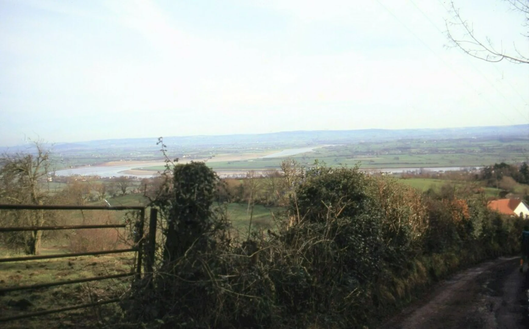 An image depicting the trail Salmon Way Loop and its surrounding area.