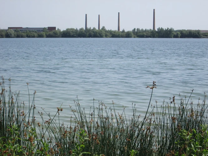 Stewartby Lake Country Park Loop