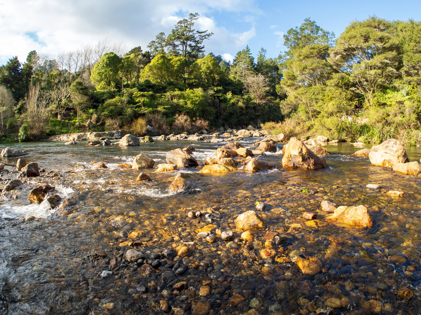 An image depicting the trail Historic Walkway to Waikino and its surrounding area.