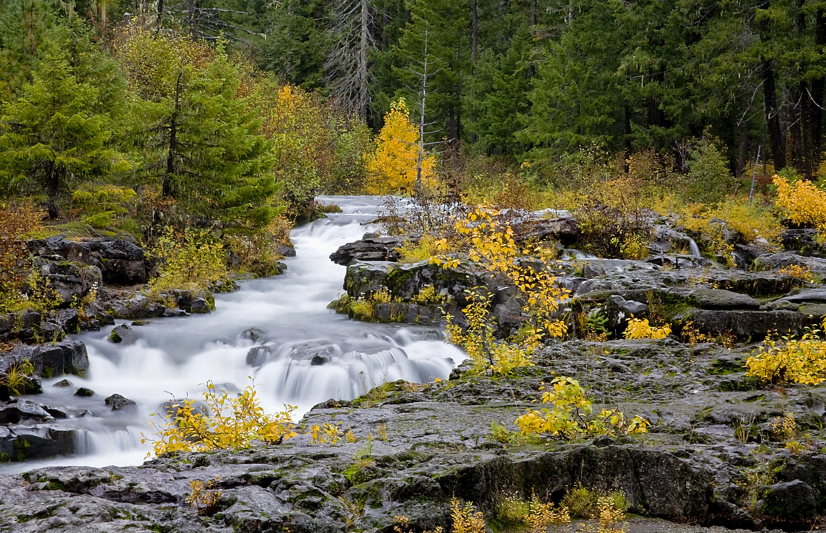 An image depicting the trail Union Creek Trail and its surrounding area.