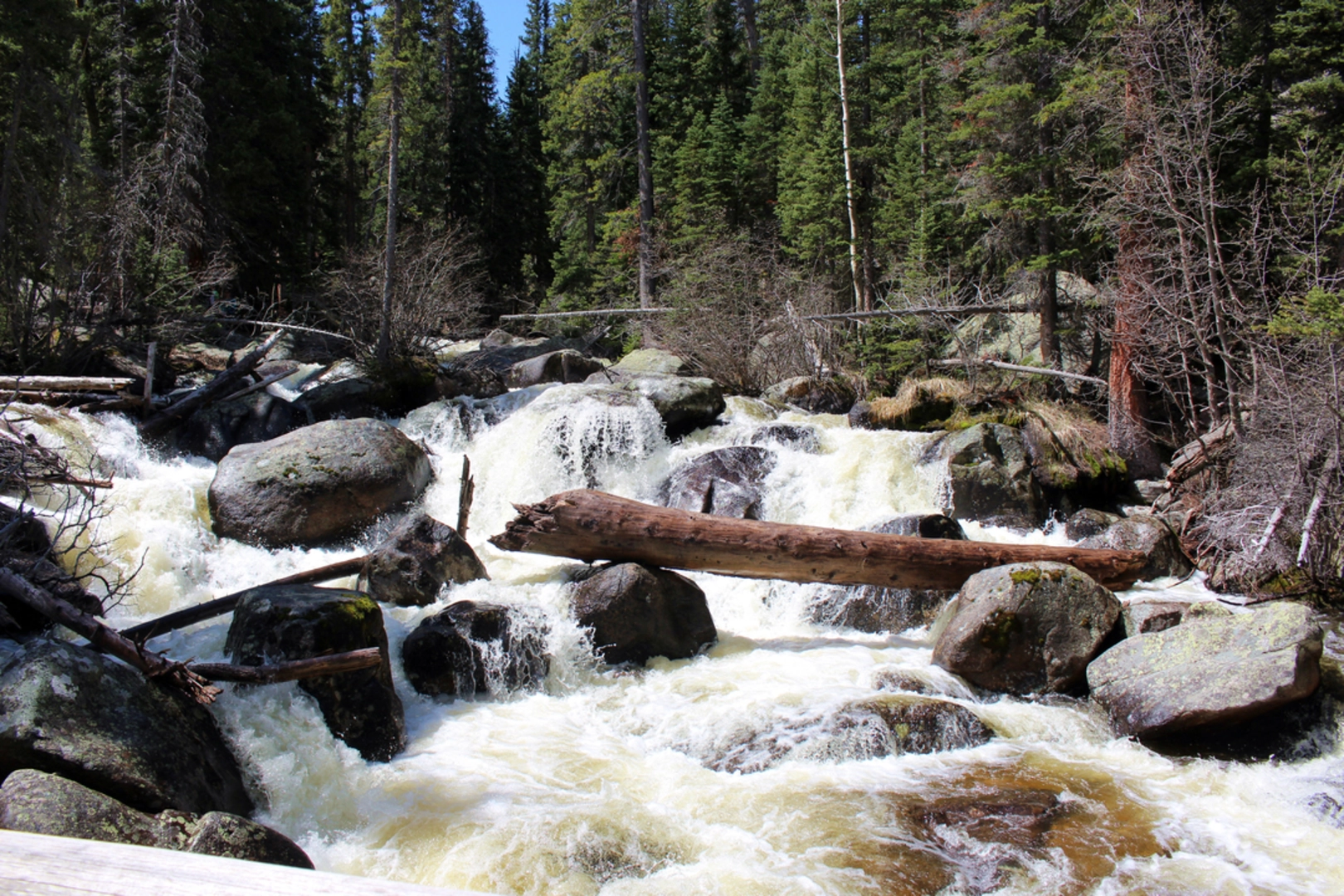 An image depicting the trail Finch Lake Cutoff Trail and its surrounding area.