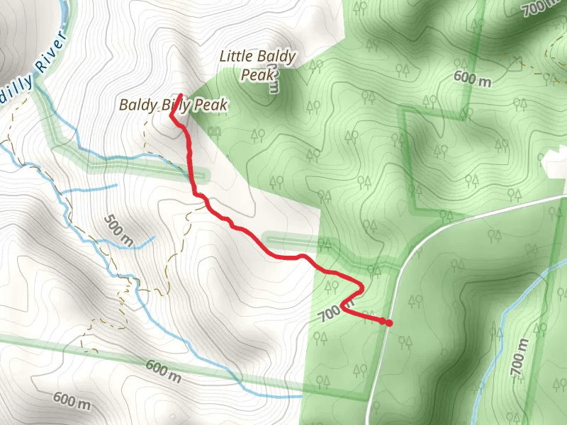 Baldy Billy Peak Track