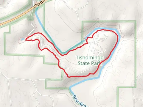 CCC Camp and Bear Creek Loop Trail
