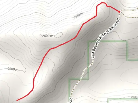 Gobblers Knob Trail