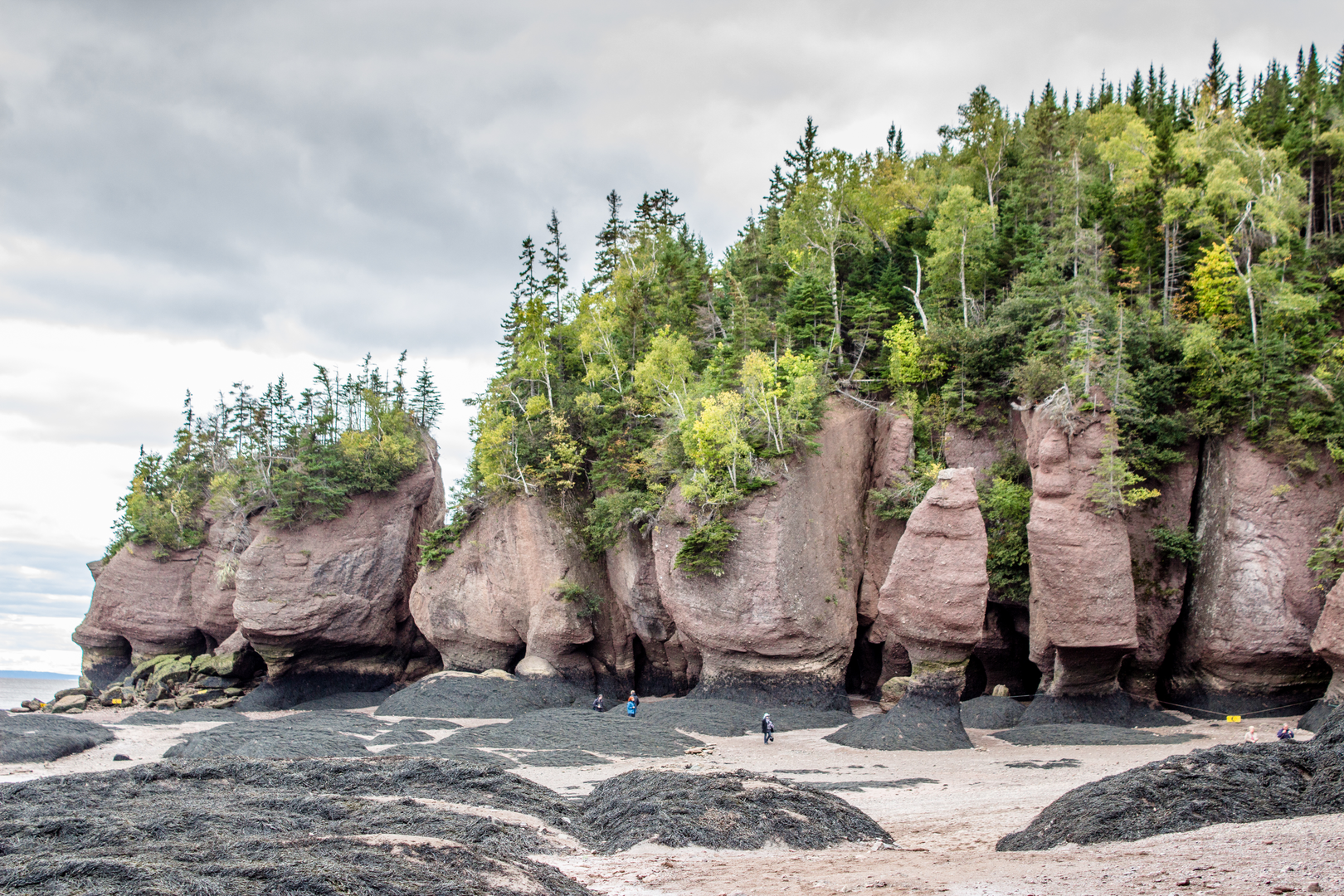 An image depicting the trail Fundy Circut and its surrounding area.