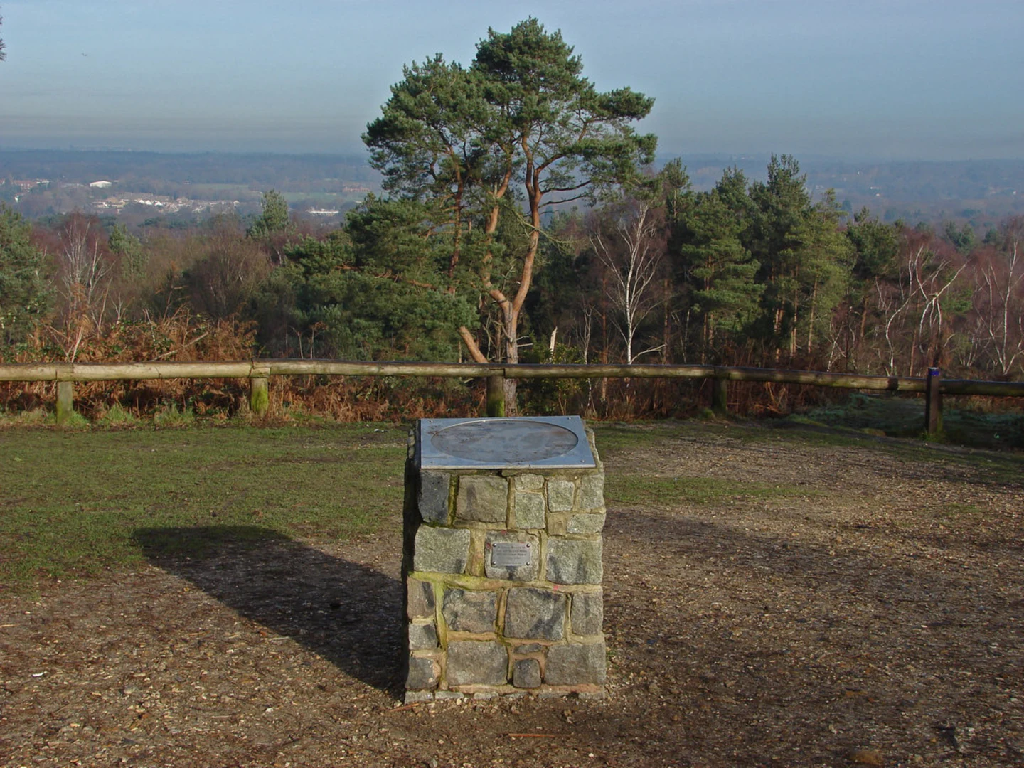 An image depicting the trail Bagshot Wood Loop walk and its surrounding area.