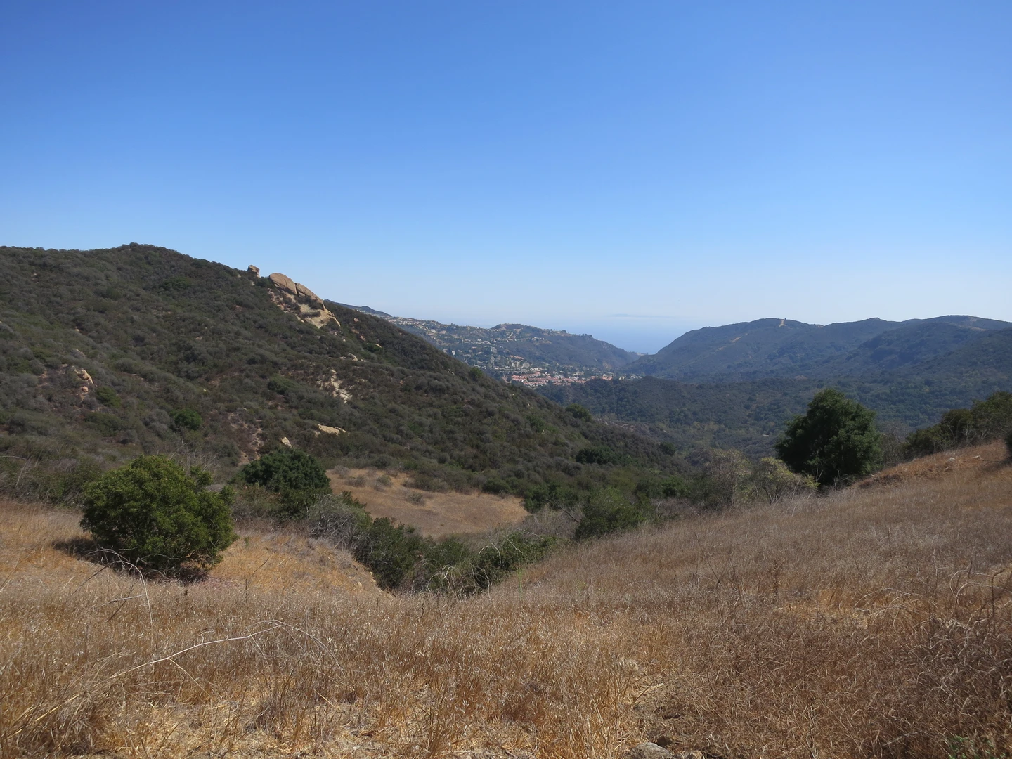 An image depicting the trail Eagle Rock - Musch Loop Trail and its surrounding area.