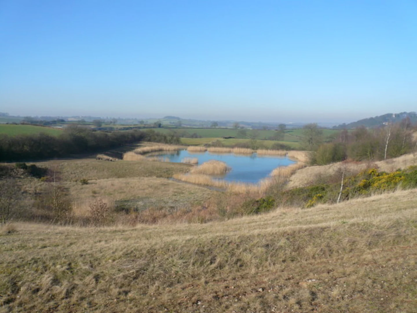 An image depicting the trail Stanley Circular Walk via Silverhill Wood and its surrounding area.