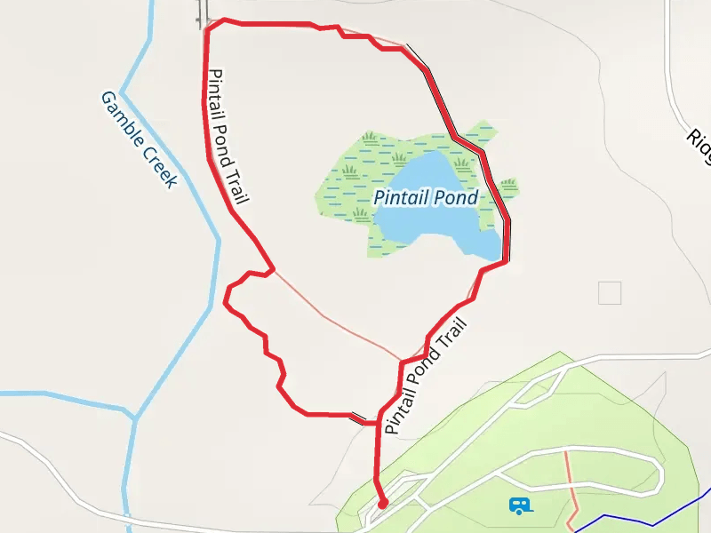 Pintail Pond Trail Loop