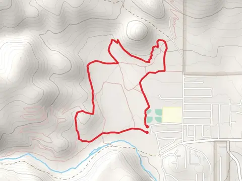Bagwell Spring Loop