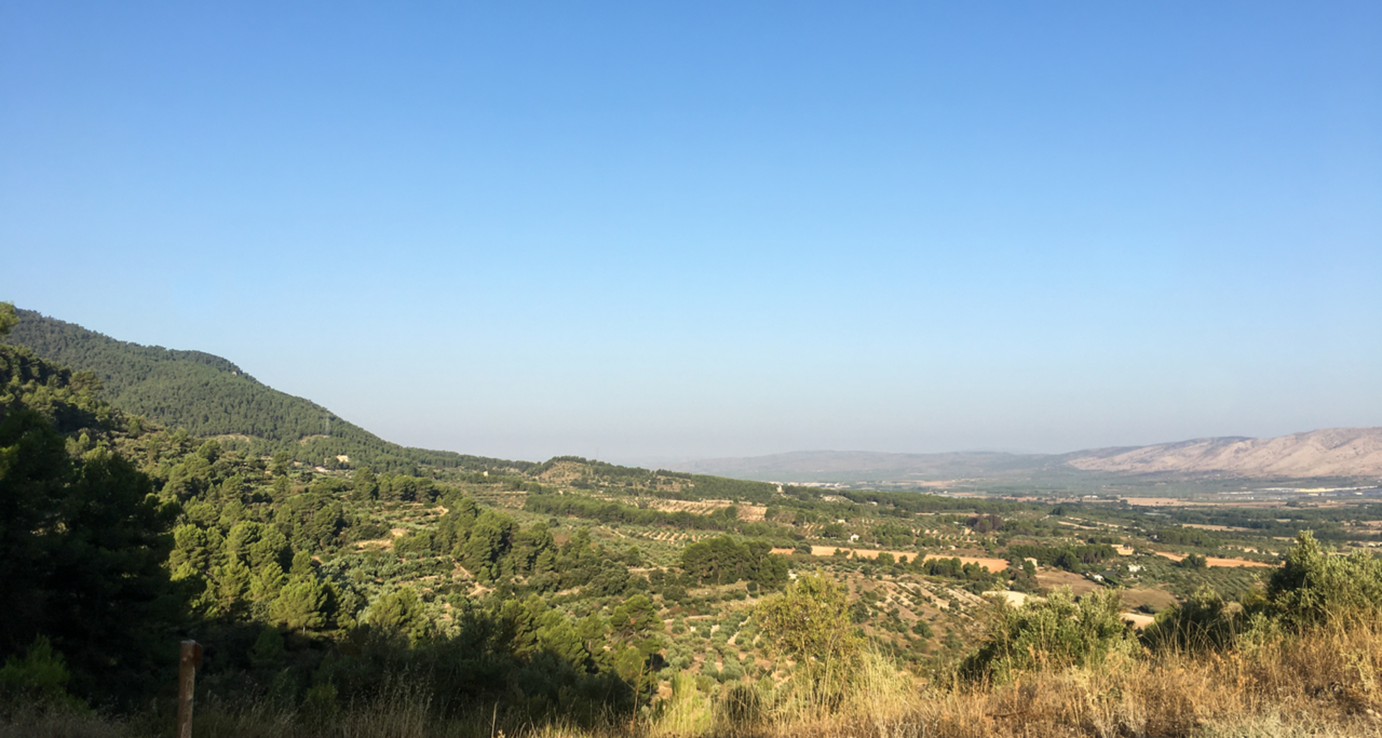An image depicting the trail Banyeres - Moli l'Ombria - Banyeres PR CV 004 and its surrounding area.