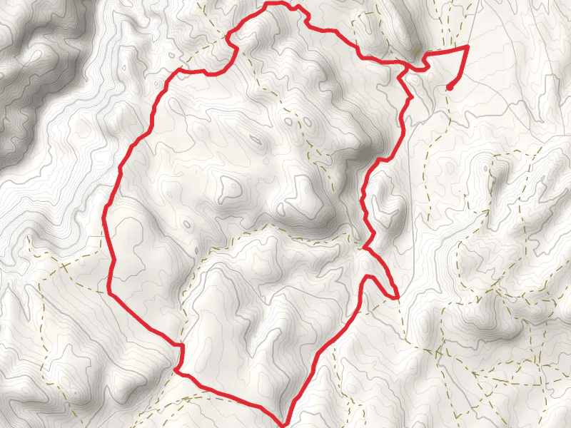 Upper Reynolds Creek Road Loop