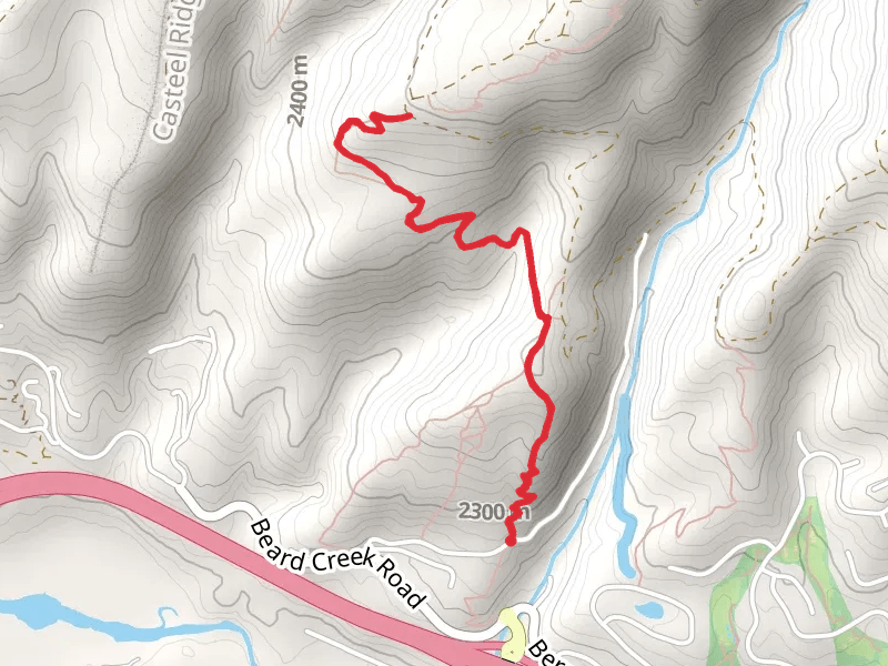 Berry Creek Trail