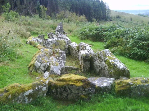 Ballintempo Forest - Aghanaglack Walk
