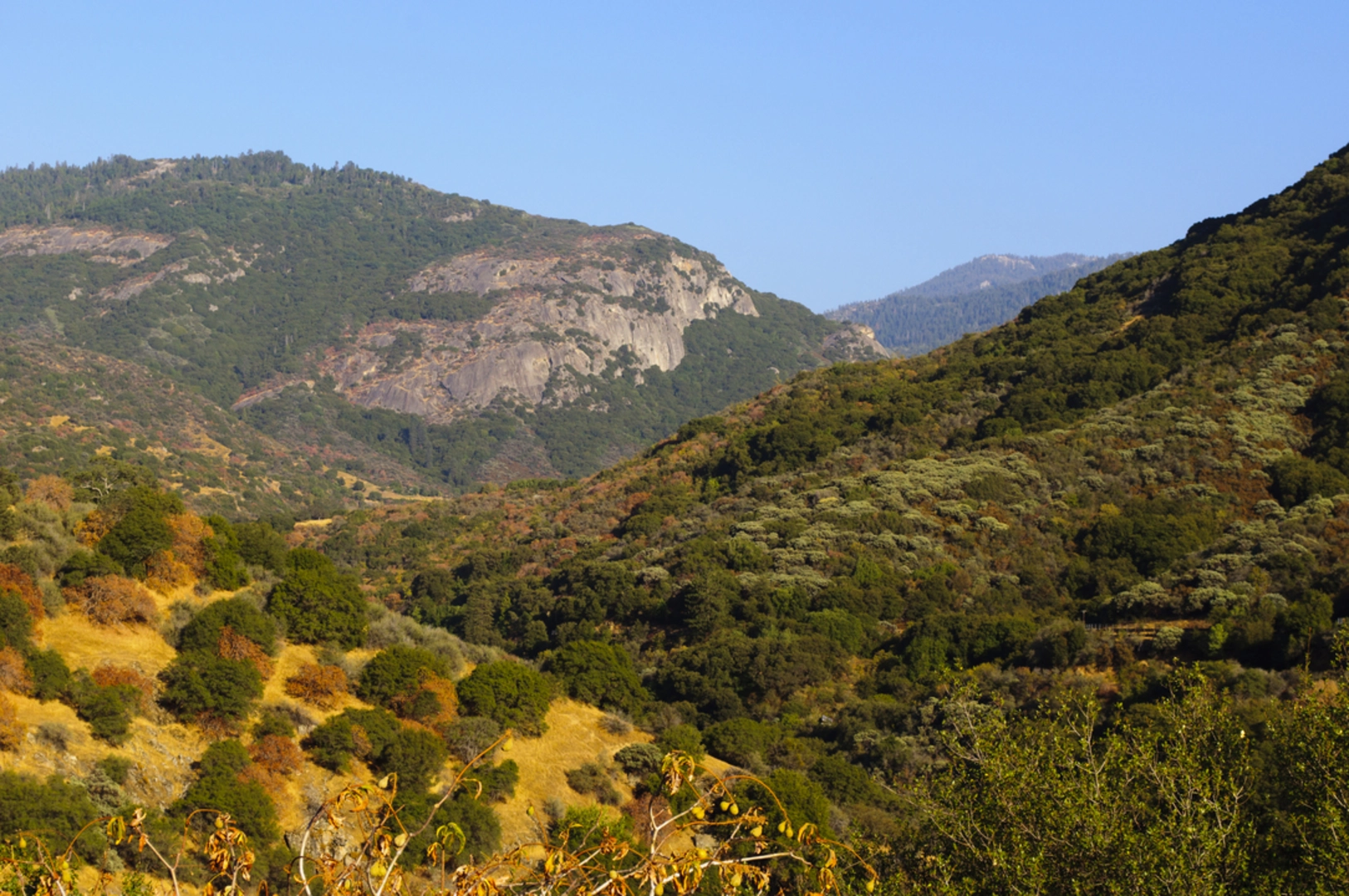 An image depicting the trail Monarch Lakes Trail and its surrounding area.