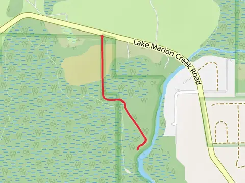 Lake Marion Creek Road