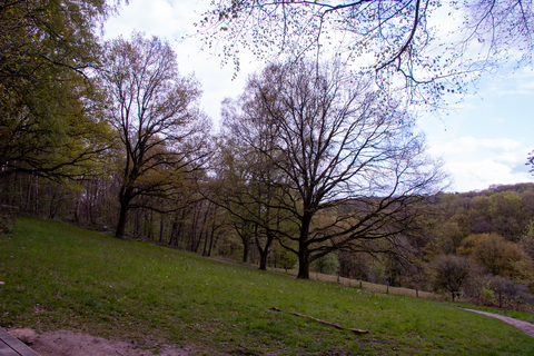 Duivelsberg, t Grueske Galgenberg and Ravenberg Loop