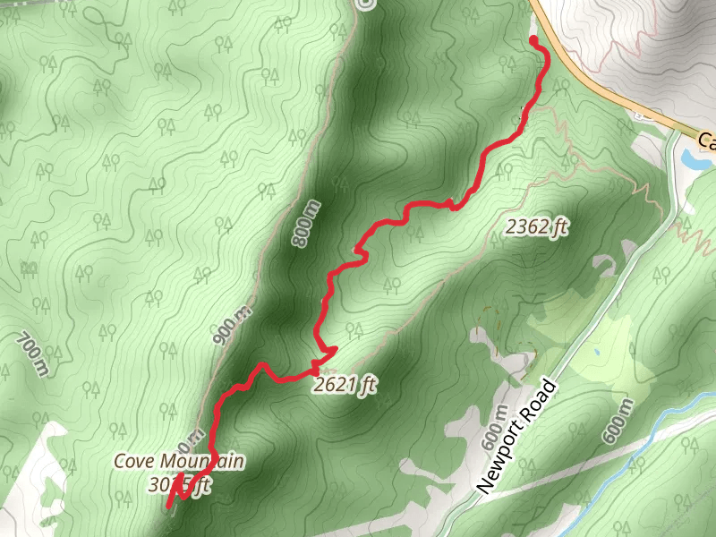 Cove Mountain via Dragons Tooth Trailhead