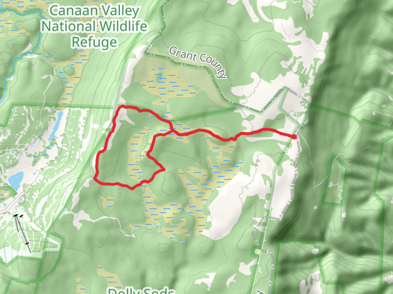 Bear Rocks, Raven Ridge and Beaver View Loop Trail