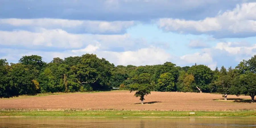 Blithfield Estate Circular